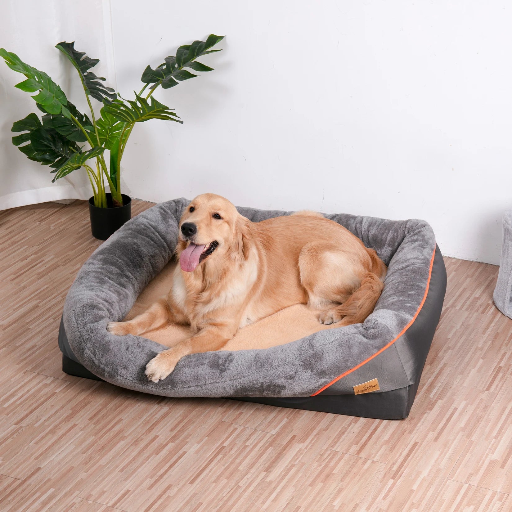 Orthopedic Dog Bed Memory Foam