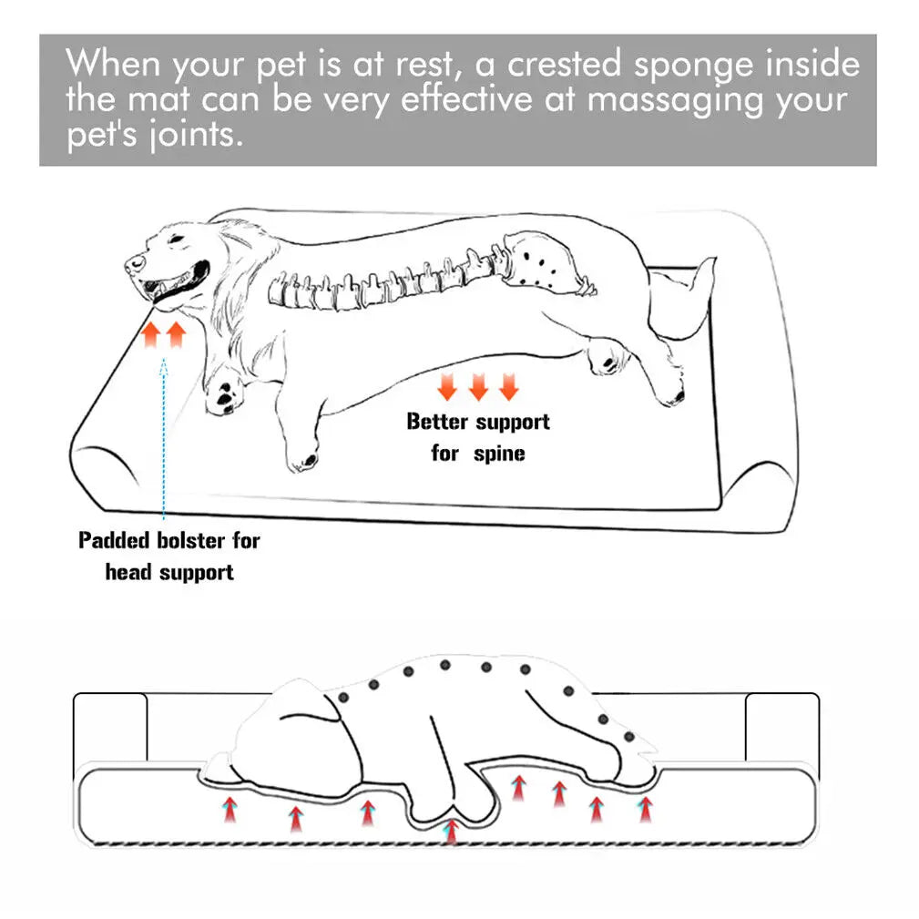 Large Orthopedic Pet Bed