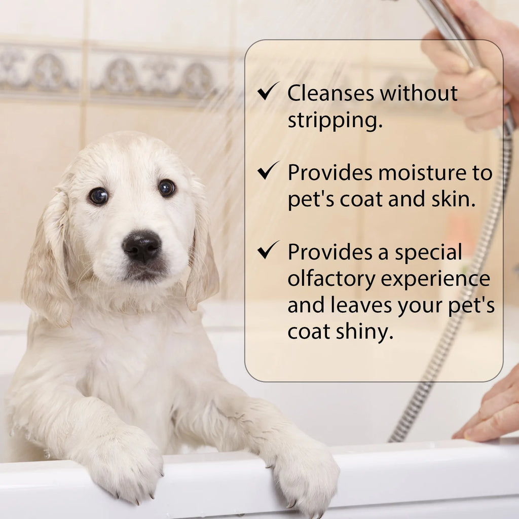 YEGBONG Dog Shampoo: Flea & Mite Killer