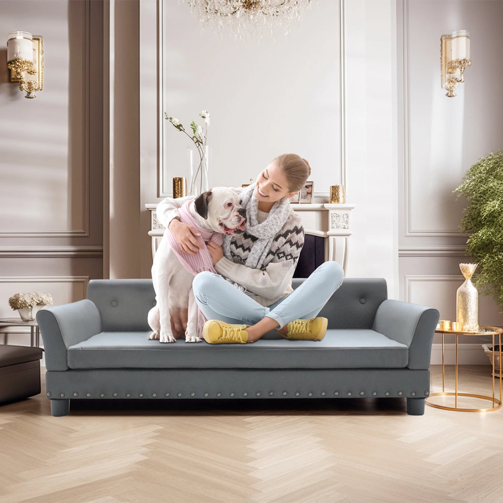 Rectangle Elevated Dog Sofa Bed