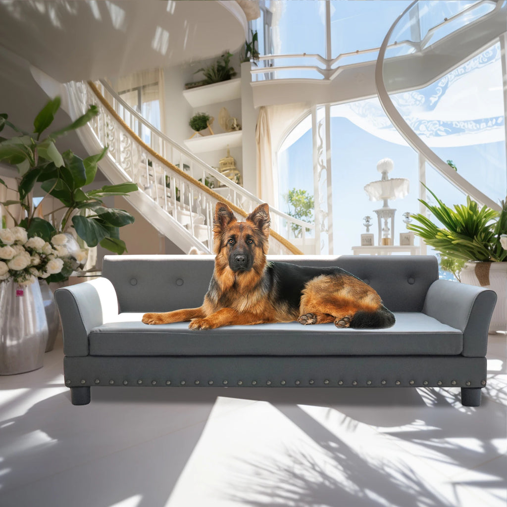 Rectangle Elevated Dog Sofa Bed