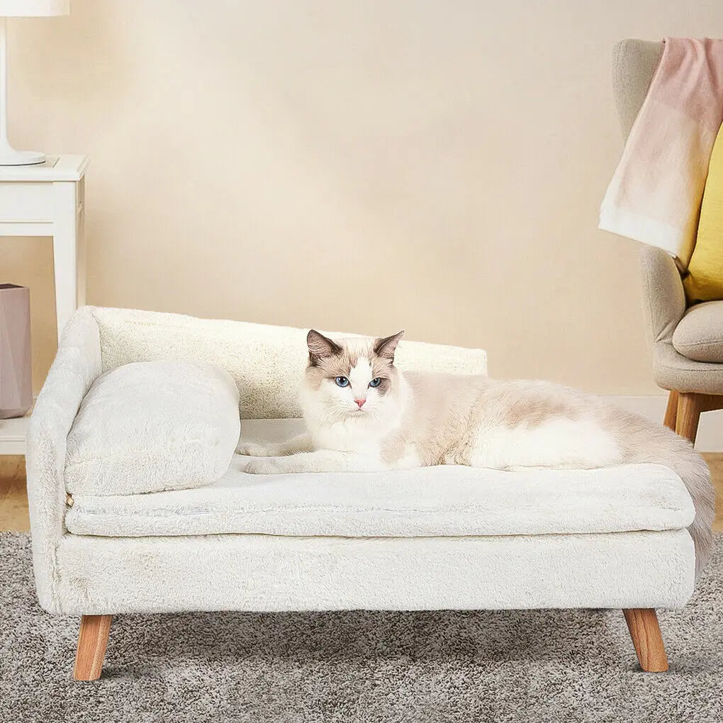 Elevated Pet Bed