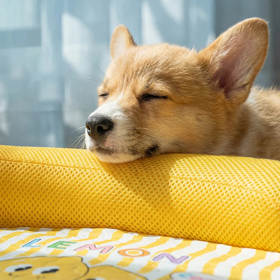 Pet Sofa Bed,  Washable  Cool Breathable