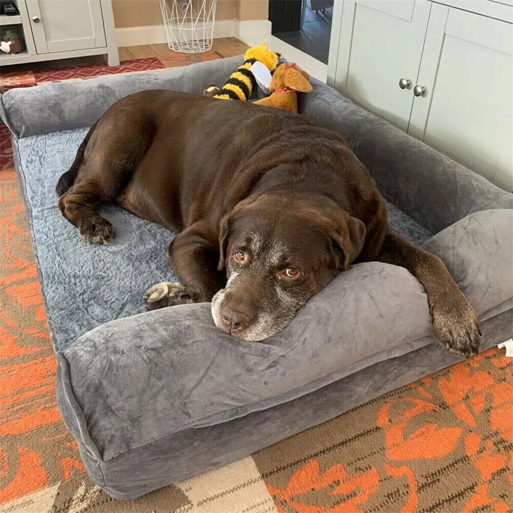 Large Orthopedic Pet Bed