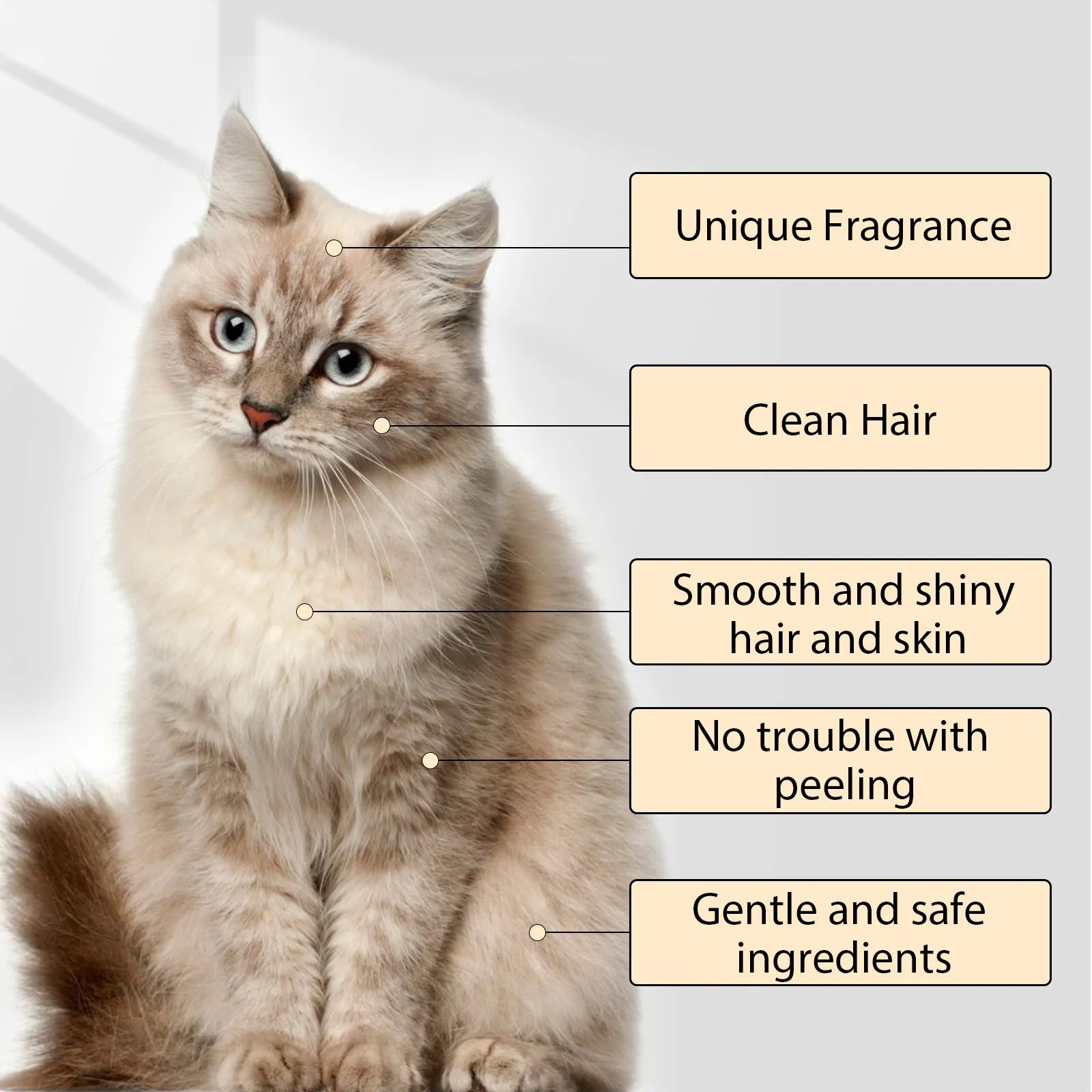 YEGBONG Dog Shampoo: Flea & Mite Killer