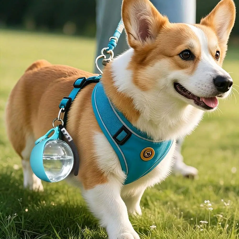 2-in-1 Portable Dog Water Bottle Lanyard Hook