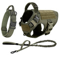 Large Dog Harness And Leash Set
