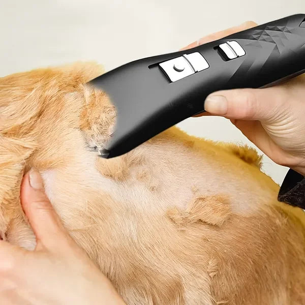 Pet Shaver For Dog And Cat